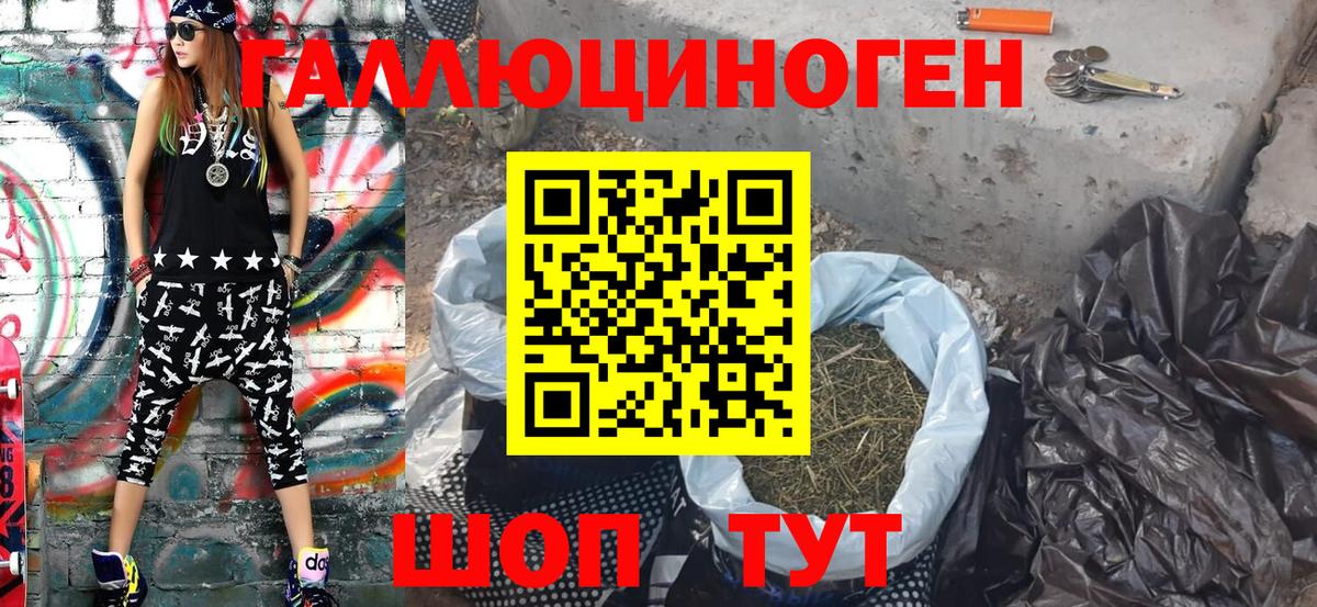 Галлюциногенные грибы Psilocybine cubensis Нововоронеж